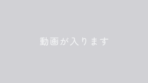 動画が入ります